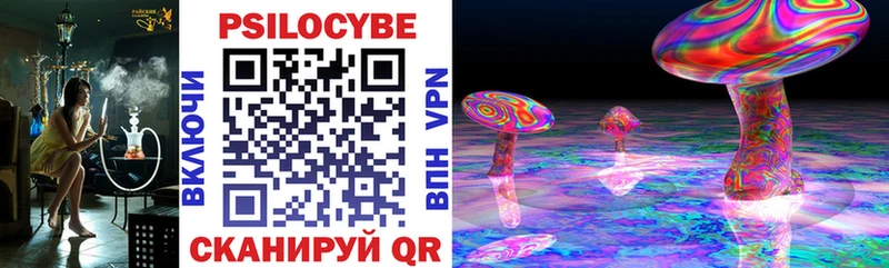 Псилоцибиновые грибы Psilocybine cubensis  Купить где  Барыш 